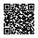 QR #65294