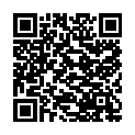QR #65295