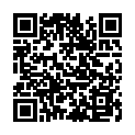 QR #65304