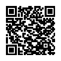 QR #65593