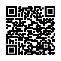 QR #66351