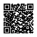 QR #66411