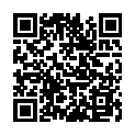 QR #85095