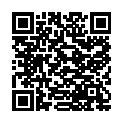 QR #99333